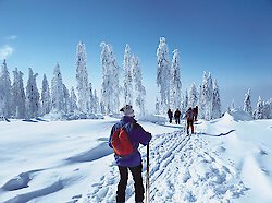 Winter im Bayerischen Wald